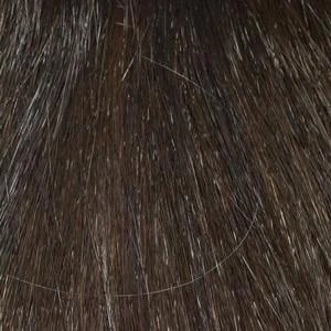 Genny Wig by Envy | Synthetic (Mono Top) | Clearance Sale