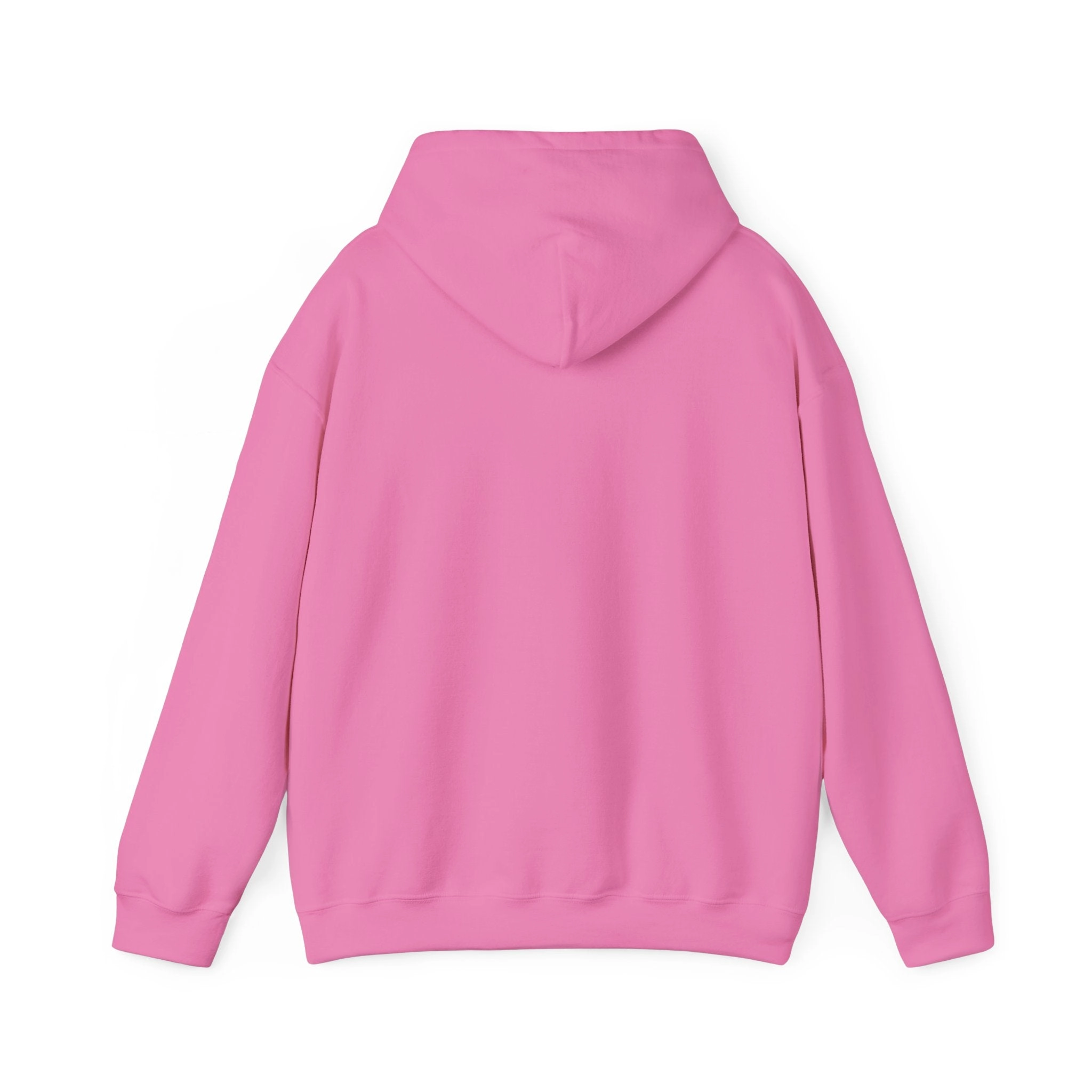 KPD Ministry Heavy Blend™ Hooded Sweatshirt