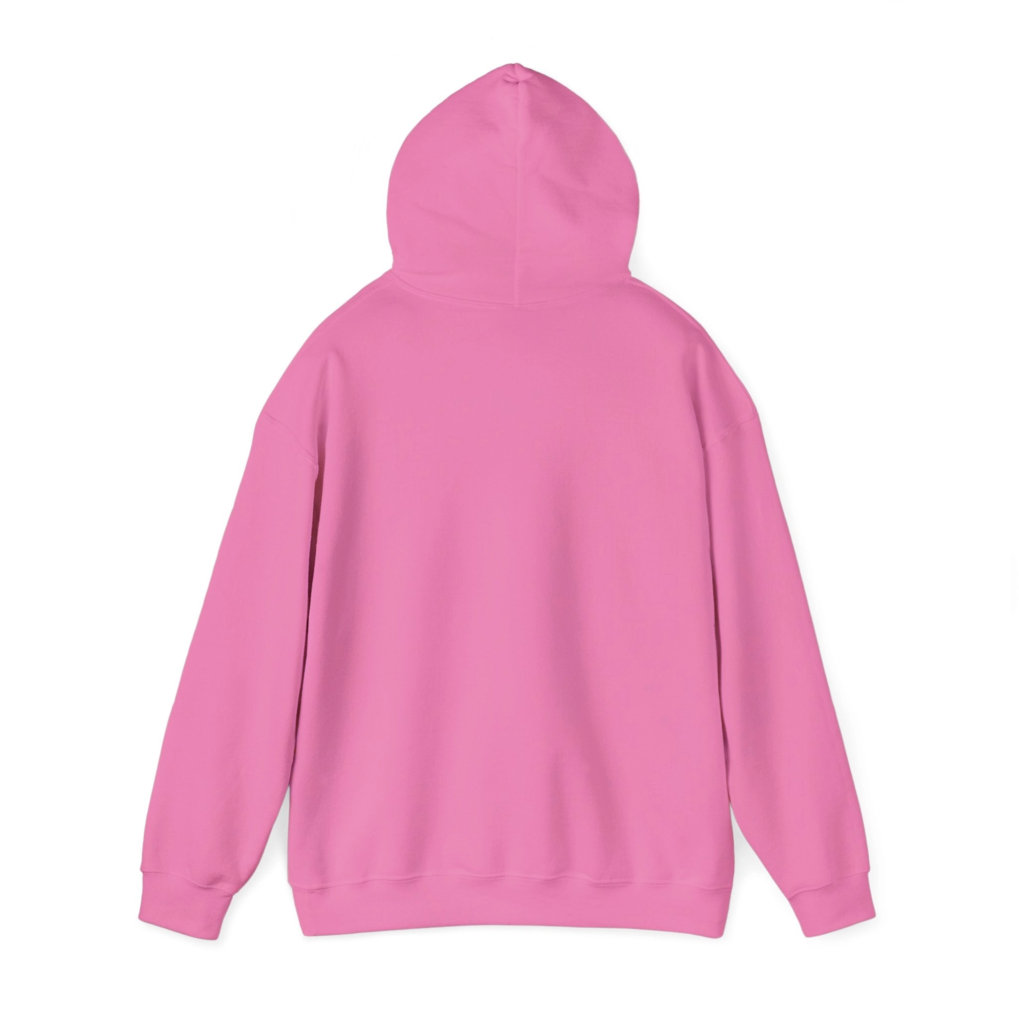 KPD Ministry Heavy Blend™ Hooded Sweatshirt