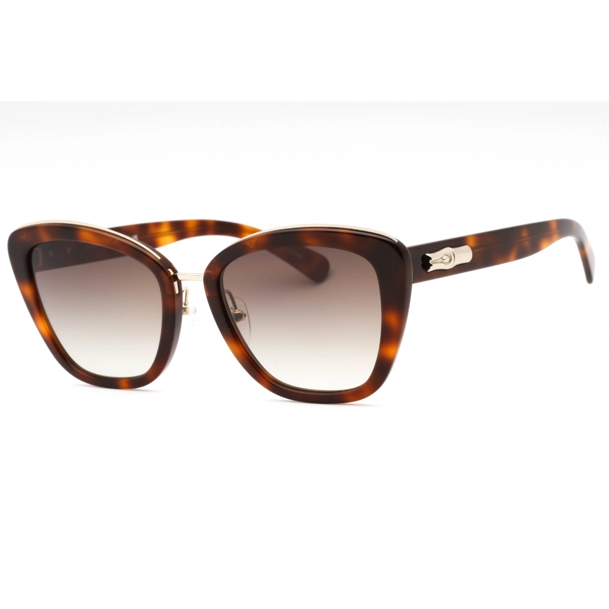 Longchamp Women's Sunglasses - Havana Plastic Cat Eye Full Rim Frame | LO687S 214