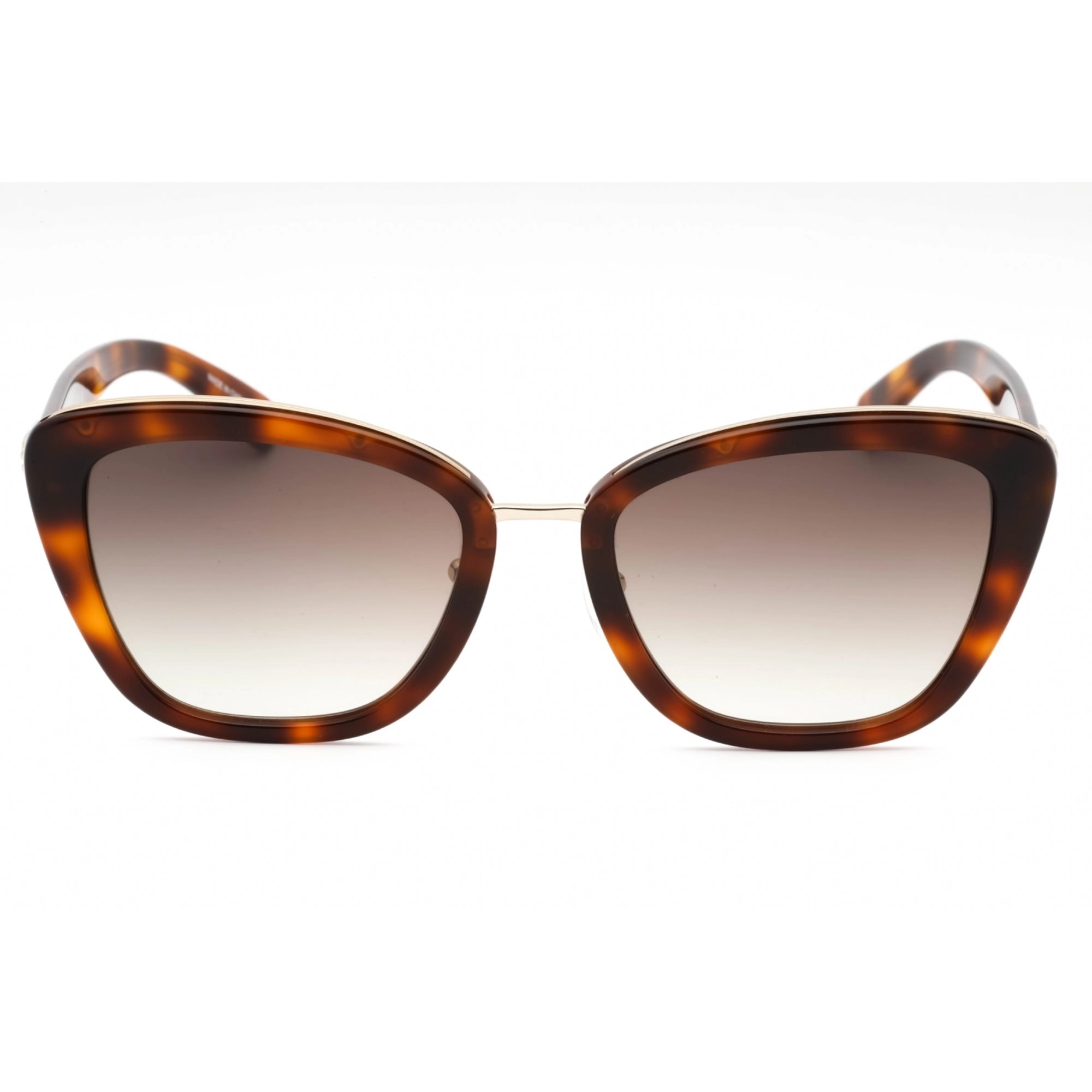 Longchamp Women's Sunglasses - Havana Plastic Cat Eye Full Rim Frame | LO687S 214
