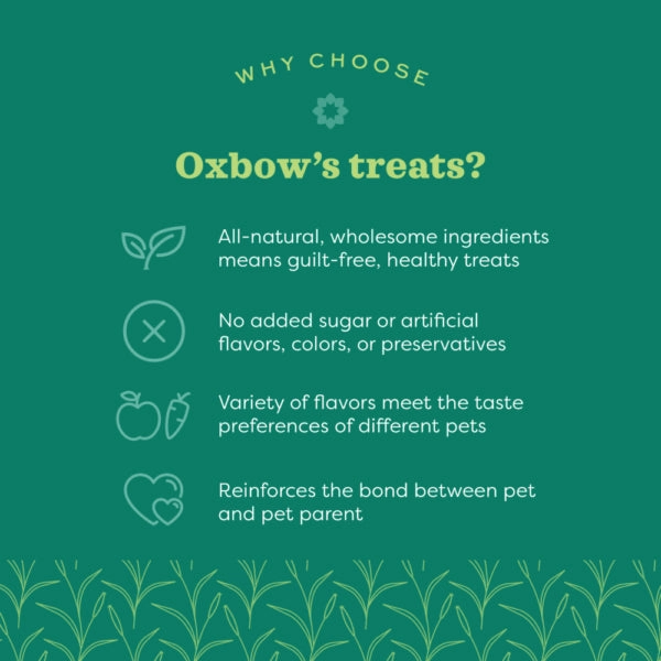 Oxbow Simple Rewards Baked Treats - Cranberry