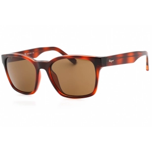 Salvatore Ferragamo Women's Sunglasses - Tortoise Plastic Full Rim Frame | SF959S 214