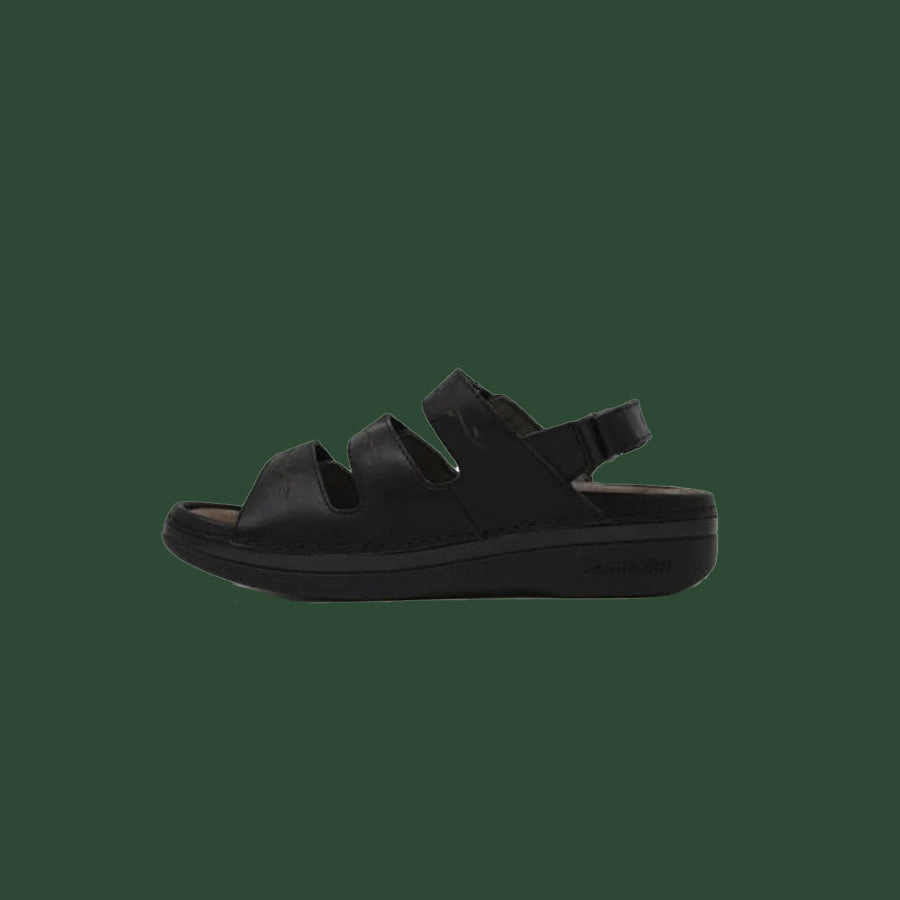 Women's Cambrian Delphi 3