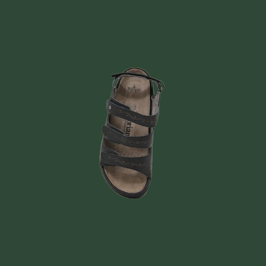 Women's Cambrian Delphi 3
